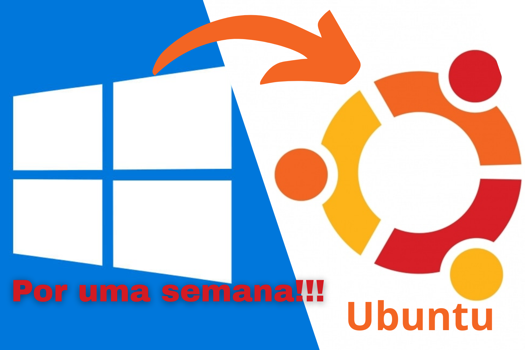 Usuário troca Windows por Linux por uma semana e revela desafios e vantagens